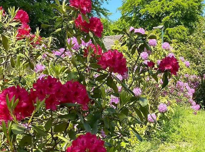 Apartamento Uns Landhus *